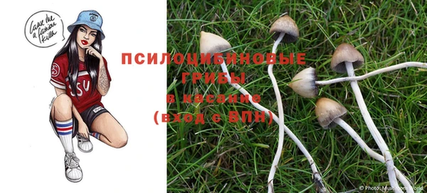 мет Карпинск