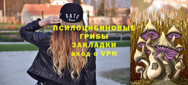 мет Карпинск