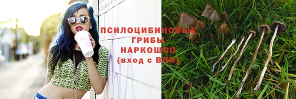 мет Карпинск
