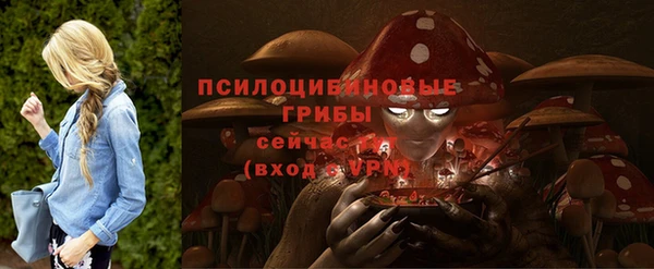 мет Карпинск